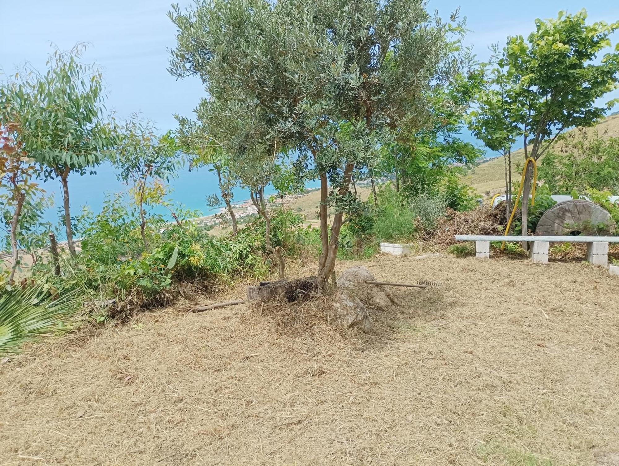 Palapico Hotel Bonifati Buitenkant foto