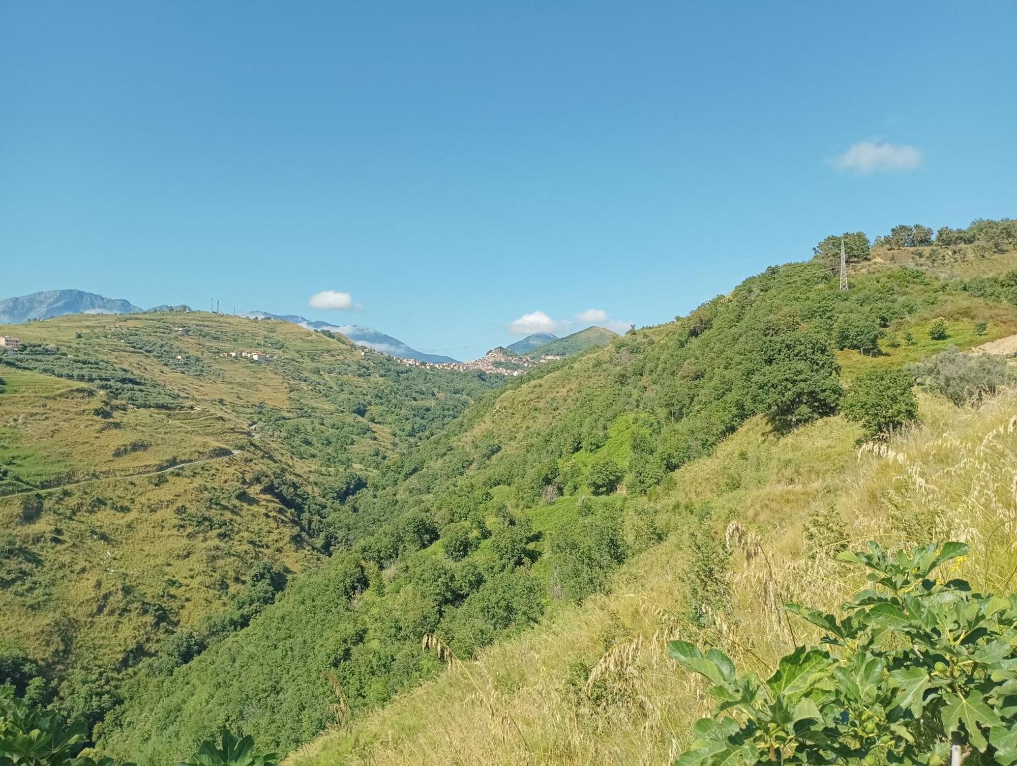 Palapico Hotel Bonifati Buitenkant foto