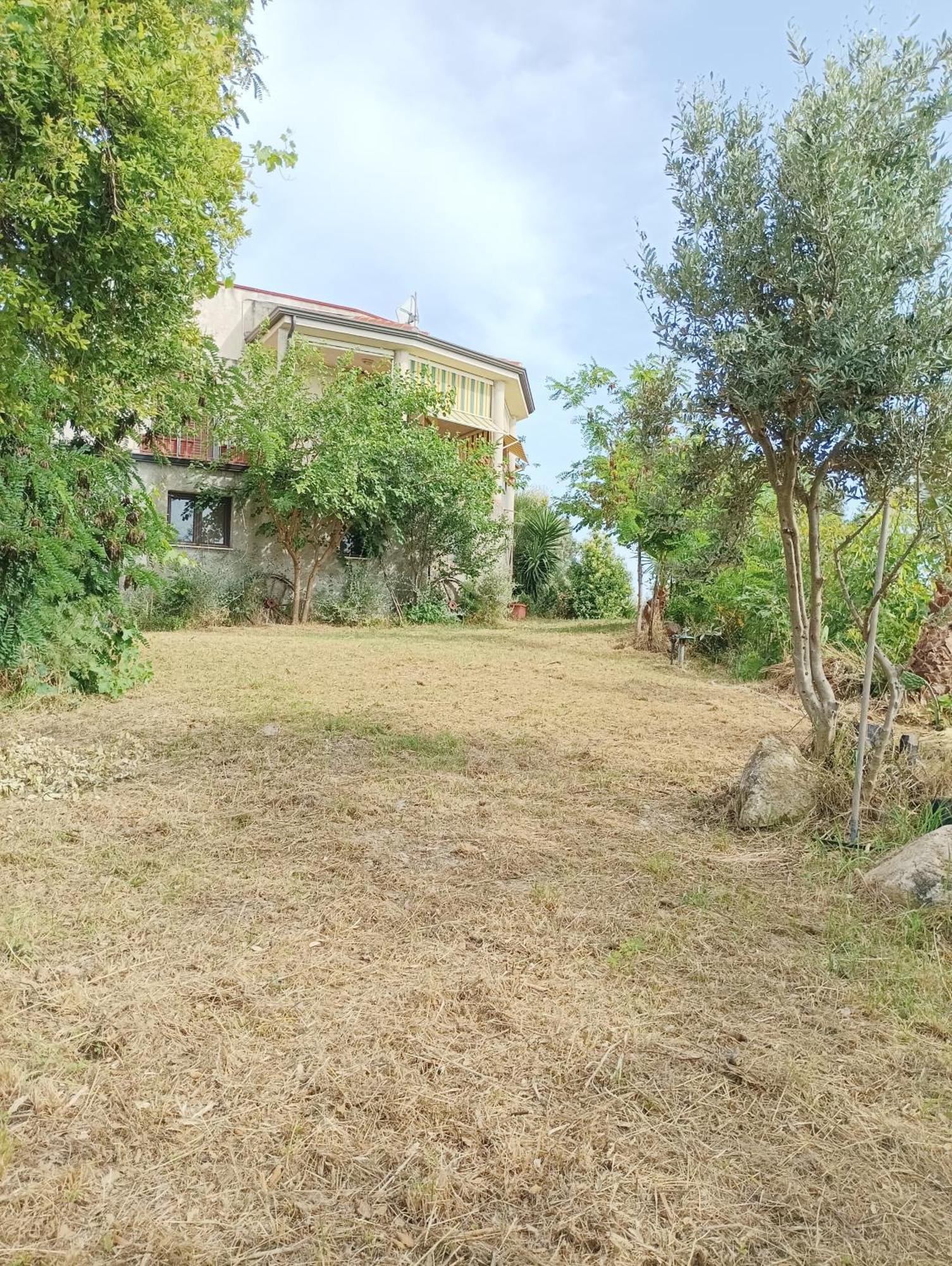 Palapico Hotel Bonifati Buitenkant foto
