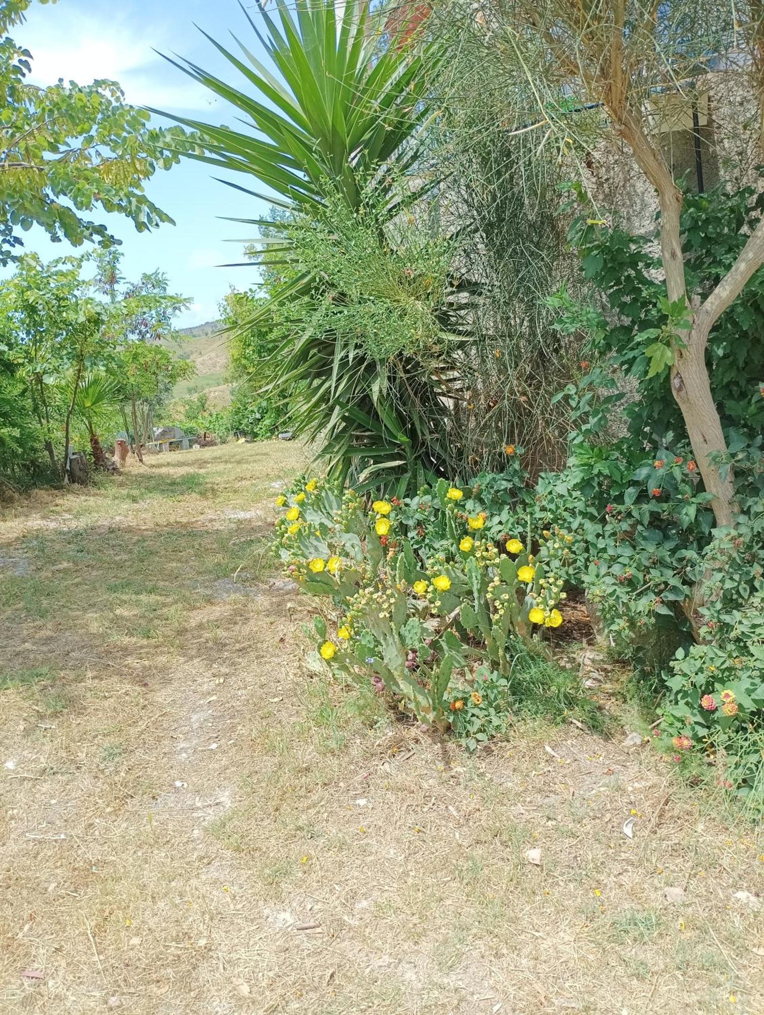 Palapico Hotel Bonifati Buitenkant foto