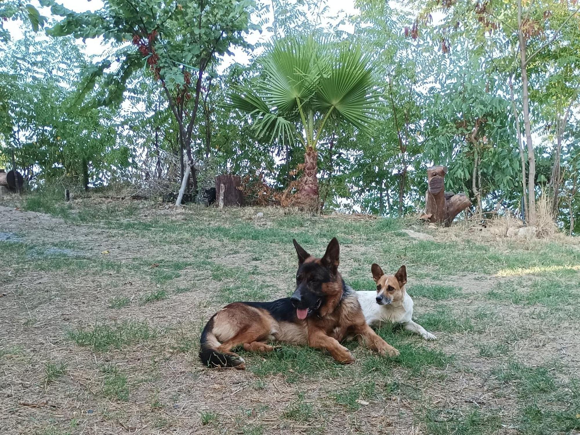 Palapico Hotel Bonifati Buitenkant foto